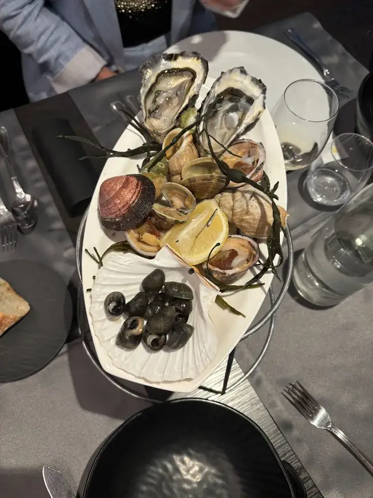 Abigail Gray_La Maison de l'Océan_Brest_review