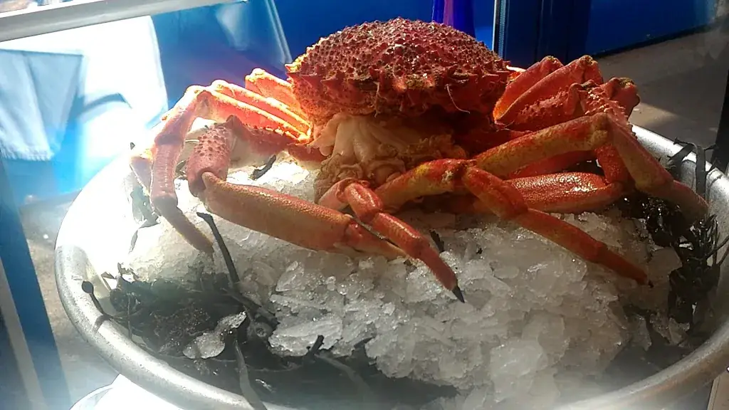 La Maison de l'Océan_Brest_slider_image_2