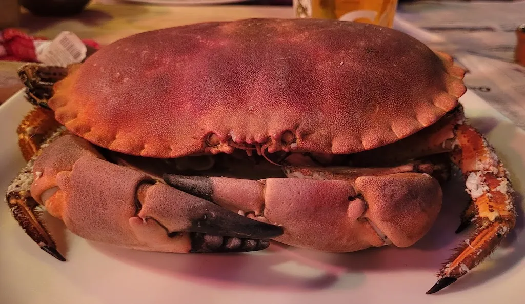 Le Crabe Marteau_Brest_slider_image_3