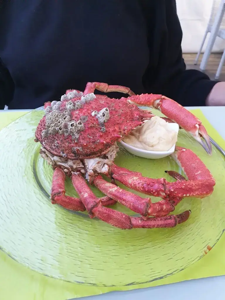 HiPpY BoAtErS_Via Costa_Binic-Étables-sur-Mer_review