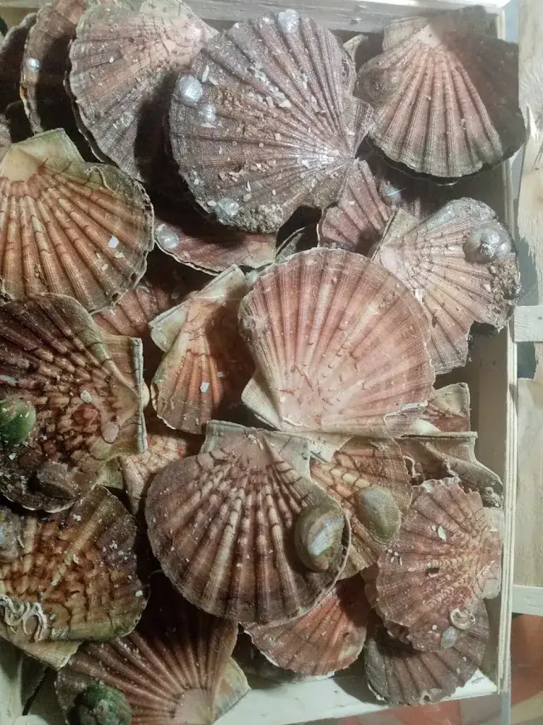 Menu_Maison Gemelli_Bonnemain_image_7