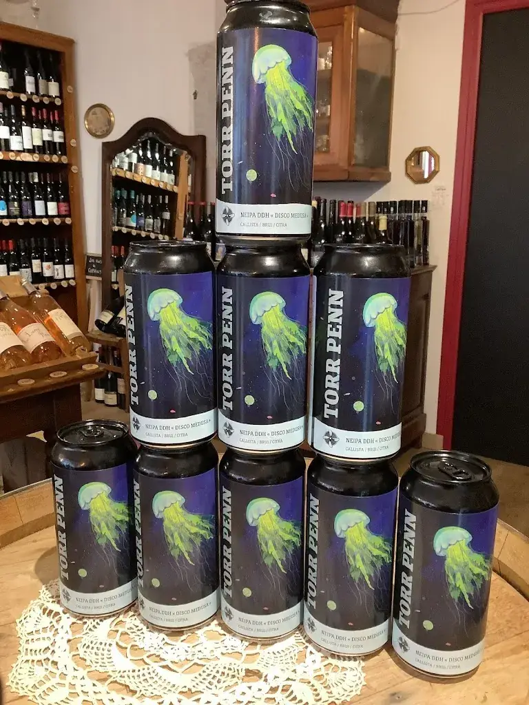 Célestine FERRIERES_Brasserie Torr Penn_Ercé-près-Liffré_review