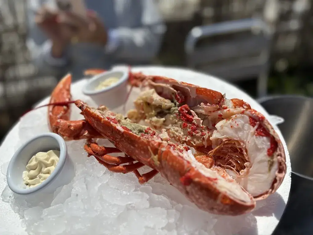 Peter Nurski_Les Viviers de Carantec_Carantec_review