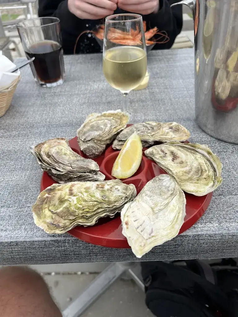 andrew owen_Les Viviers de Carantec_Carantec_review