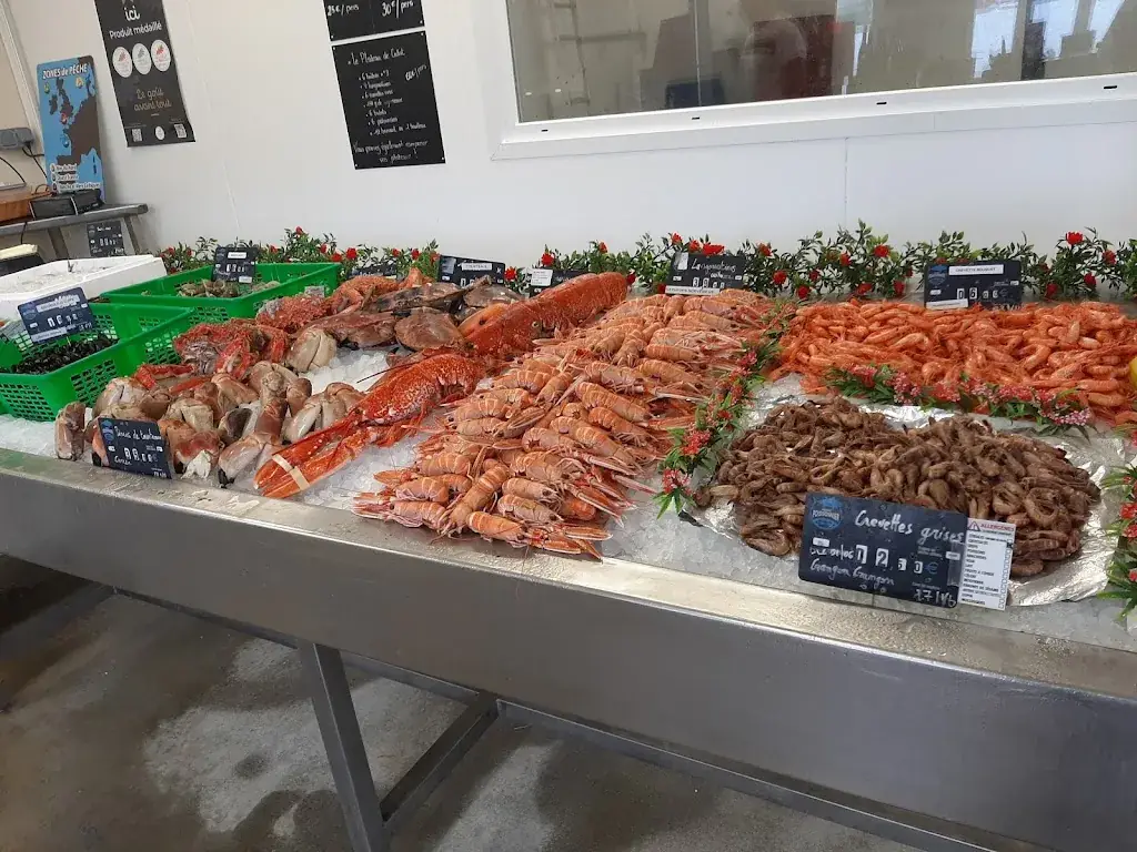 Les Viviers de Carantec_Carantec_slider_image_2