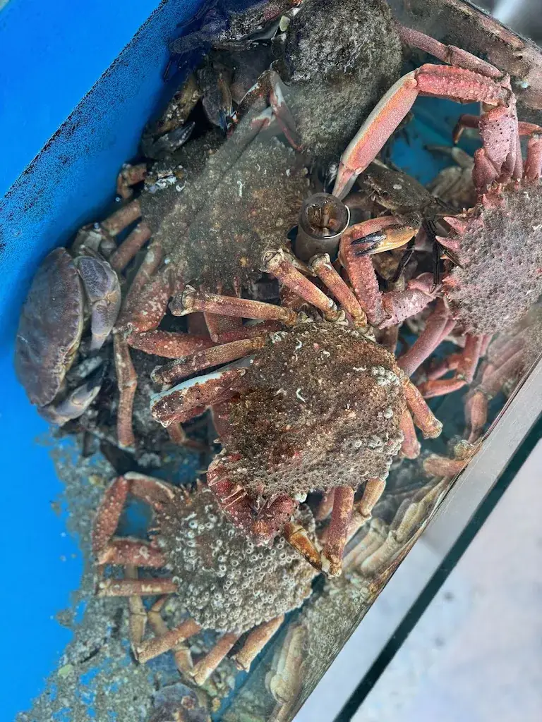 Menu_Ets Ven Les Huîtres de l’Île Blanche- Carantec_Carantec_immagine_7