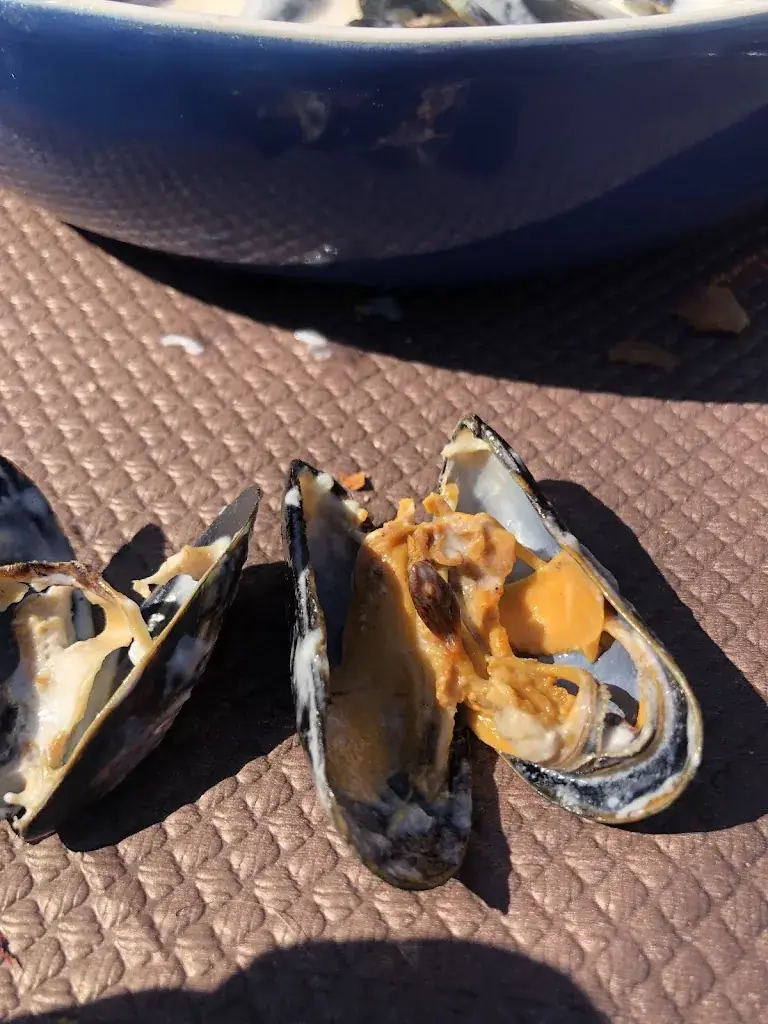 Follow the Beard_Paradiso Plage (chez les filles)_Carantec_review