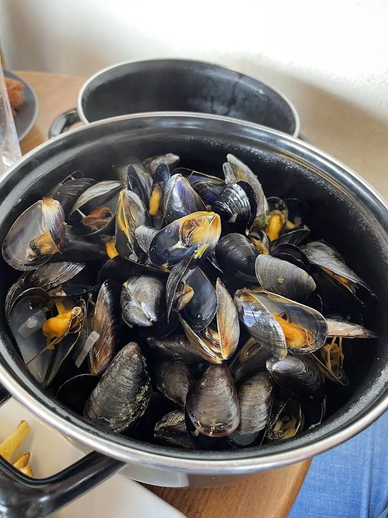 Lucia Rodriguez_A l'Abri du Kraken_Camaret-sur-Mer_review