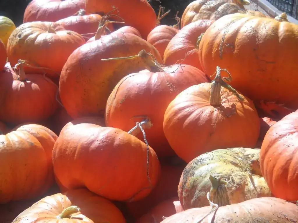 Menu_Ferme Auberge SARL_Noyal-Châtillon-sur-Seiche_image_8