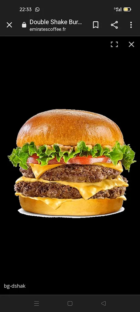 Menu_Restaurant Royal_Châteauneuf-du-Faou_immagine_5