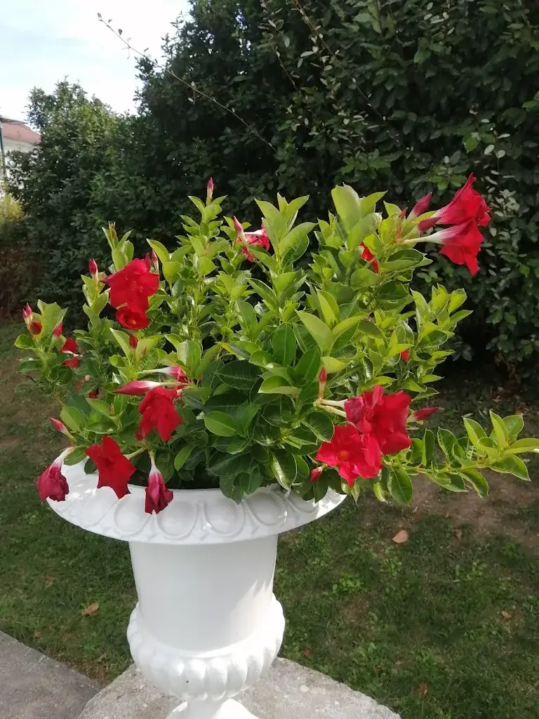 Raphaëlle Correnti_