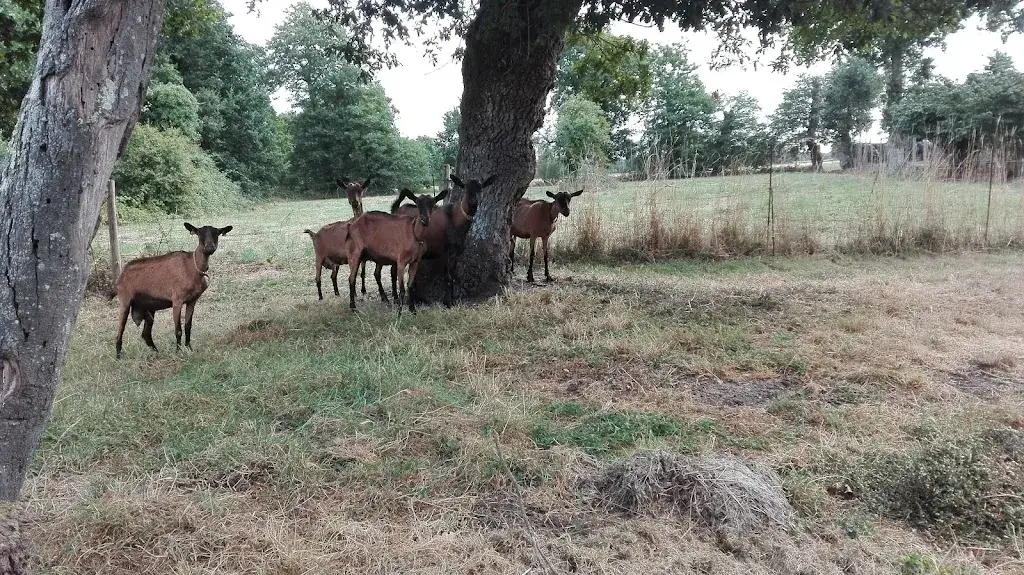 Le Belvédère_Chavagne_slider_image_2