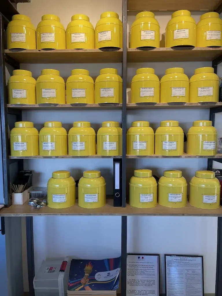 Tissana W._Ker Nouna_Cherrueix_review