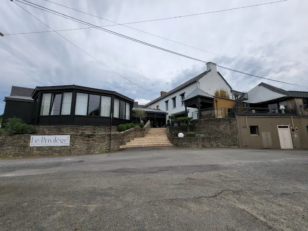 Stewart Bradnick_LOGIS Le Privilège_Saint-Didier_review