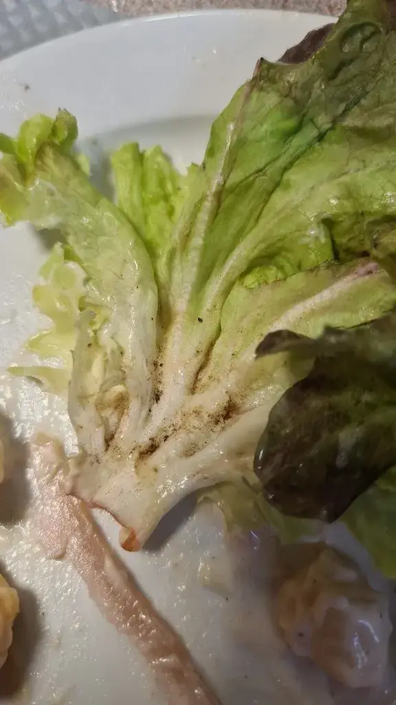 Menu_Restaurant Ker Jo Ann_Châteaubourg_image_3