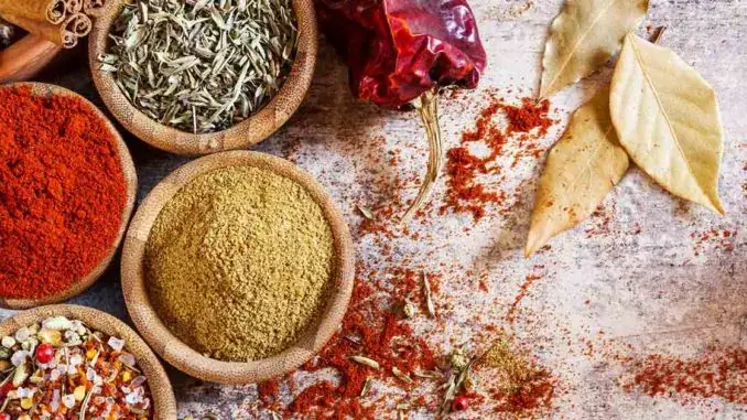 La Brasserie Marocaine_Carhaix-Plouguer_slider_image_2