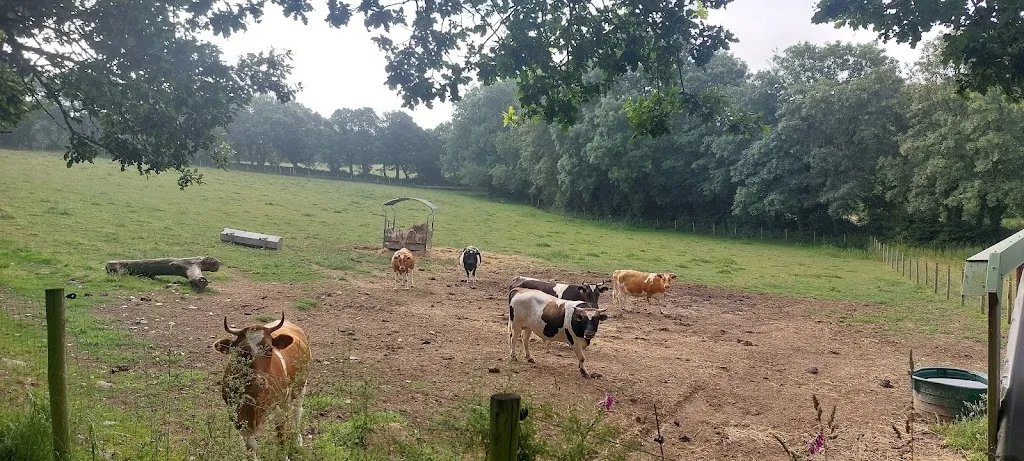 Maxime BERGONSO_Vallée de l'Hyère_Plouger_review