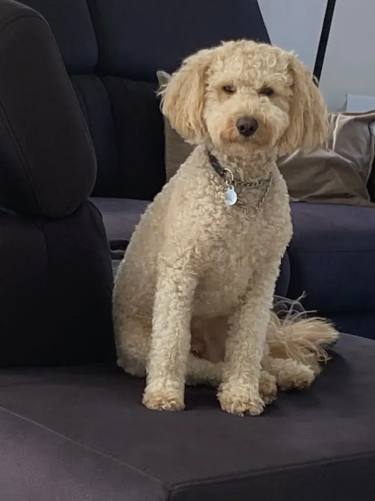 Robert King_Domaine Du Theven_Sibiril_review