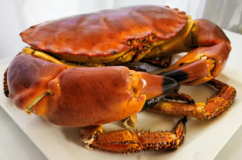 La rose des vents_Cléder_slider_image_2