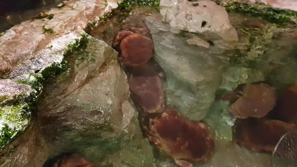 La Mère Champlain - Restaurant ET Hôtel restaurant in Cancale