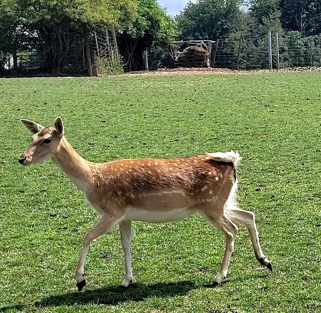 Auberge des Cerfs de Kerfulus_Cléguérec_slider_image_2