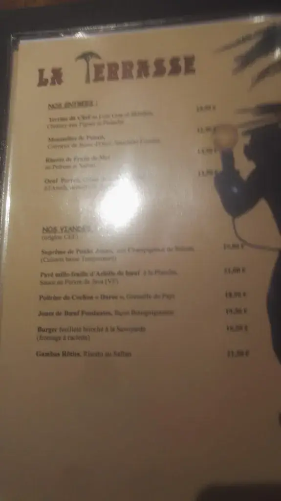 Menu_La Terrasse_Fouesnant_image_1