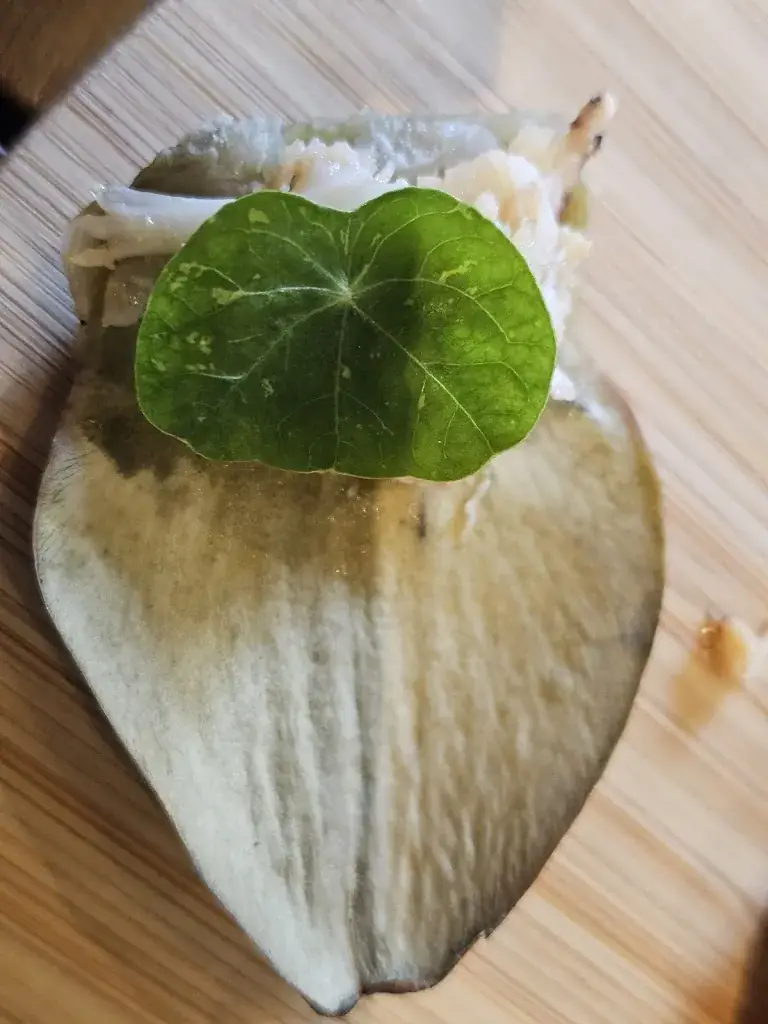 Menu_Le Jardin des Saveurs - Restaurant Landerneau_Landerneau_image_8