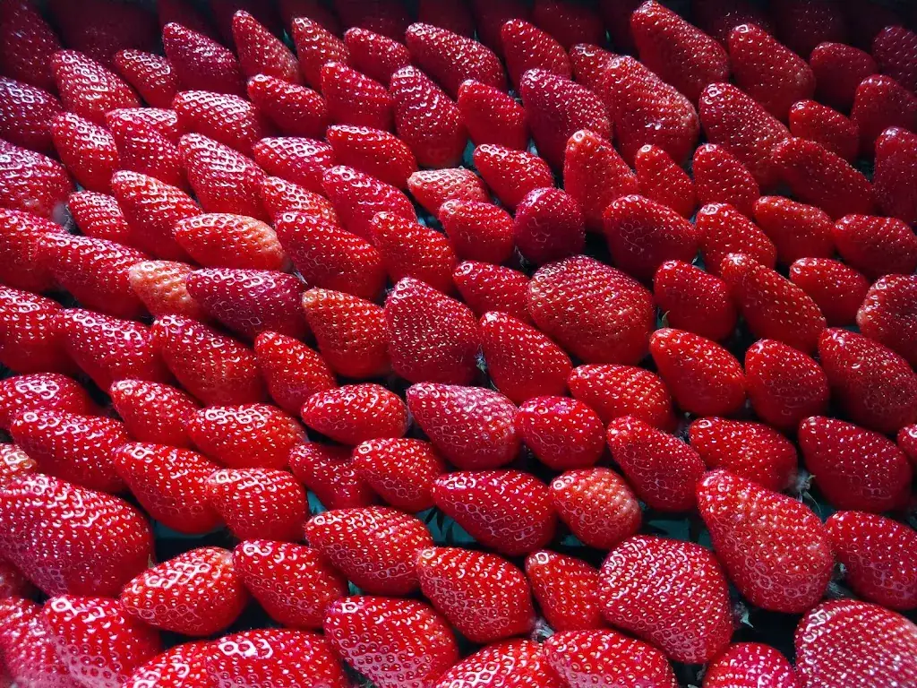 Crêperie An Ty Coz_Plougastel-Daoulas_slider_image_3