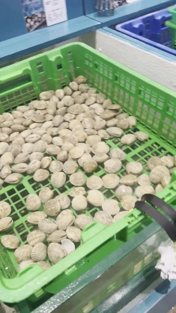 Michael van Engelen_Les Viviers de Keraliou / Vente au détail & dégustation_Plougastel-Daoulas_recensione