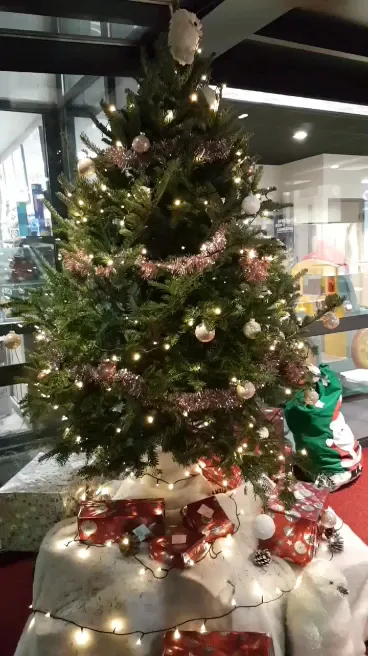 Arthur et Malo_Erbrée_slider_image_2