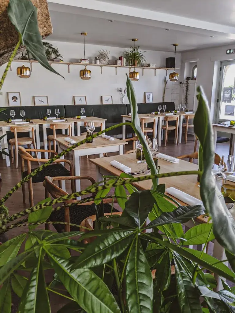 VIVACE_Trébeurden_slider_image_3