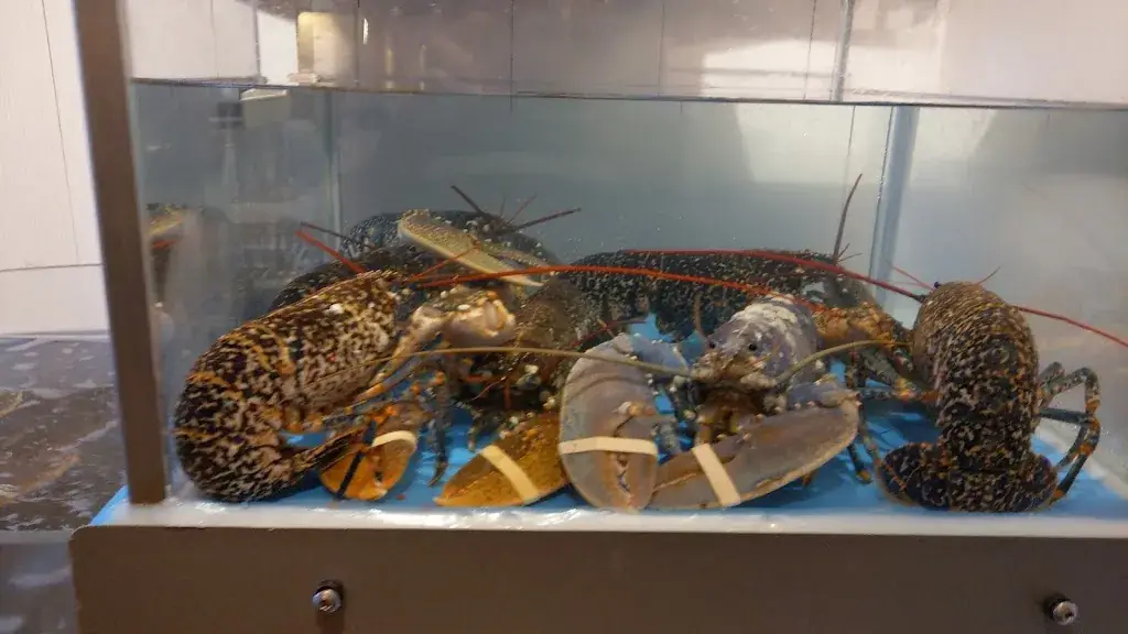 Menu_Le Vauban_Concarneau_image_7