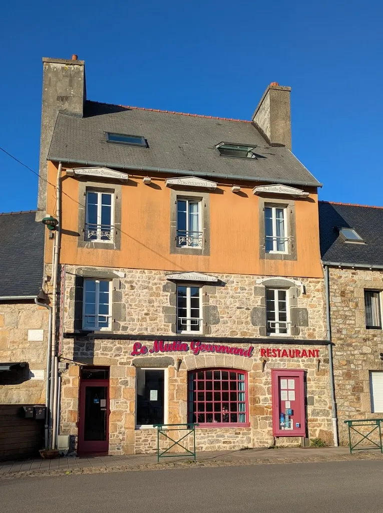 The cat_Hôtel-Restaurant Le Mutin Gourmand_Crozon_review