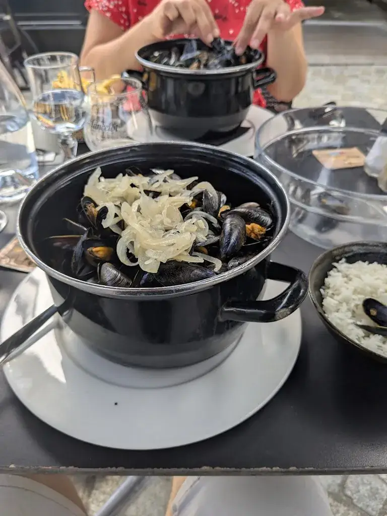 James Malvern_LES FLOTS_Crozon_avis