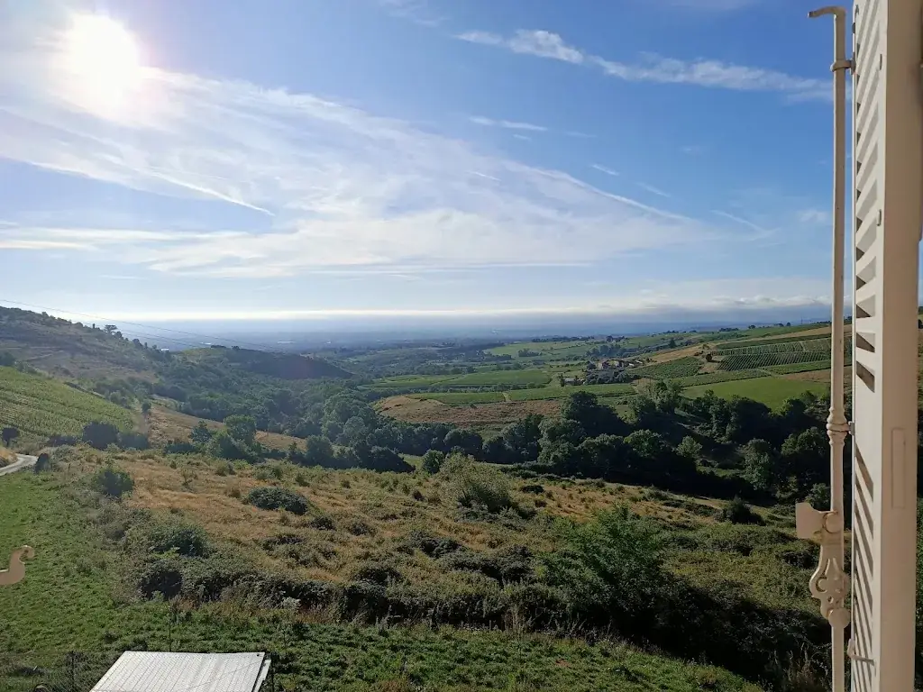 pateux pateux_La Cuisine d'Alice Dior_Blacé_review