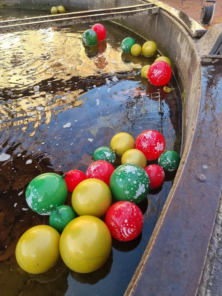 Menu_Le kiosque de Billom_Billom_image_3