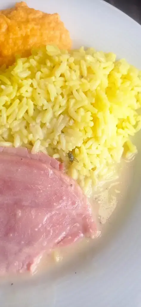 Menu_Restaurant rive gauche_Josselin_image_9