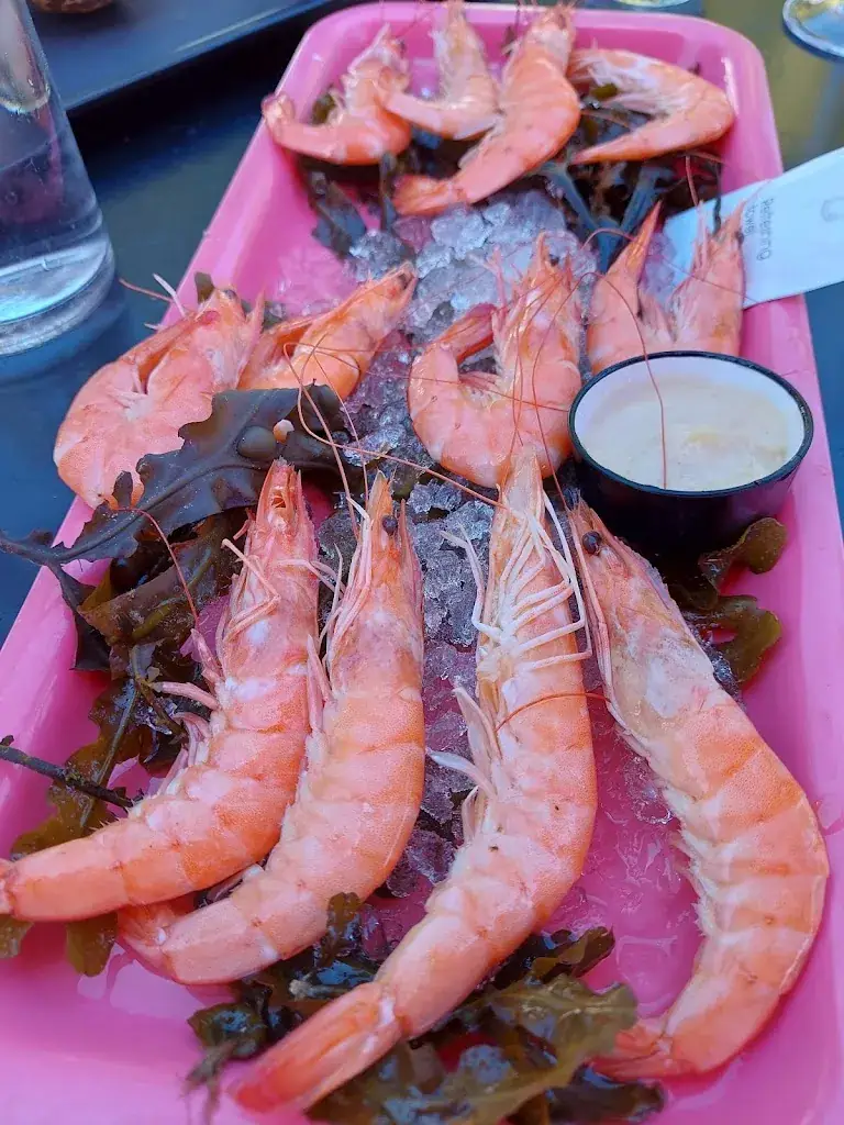 Thomas Kersten_Nicolas Nonnet Dégustation huîtres fruits de mer_Fréhel_reseña