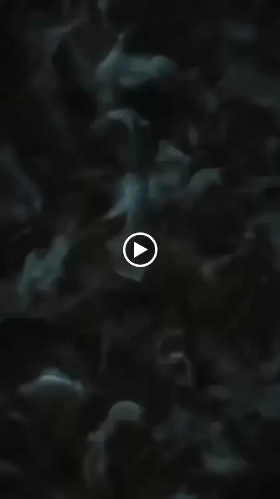 Restaurant PointGrill_Guichen_slider_image_2