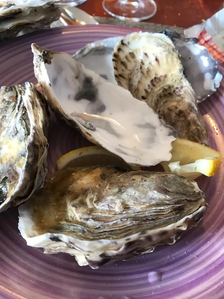 Le Lywen_Plouigneau_slider_image_1