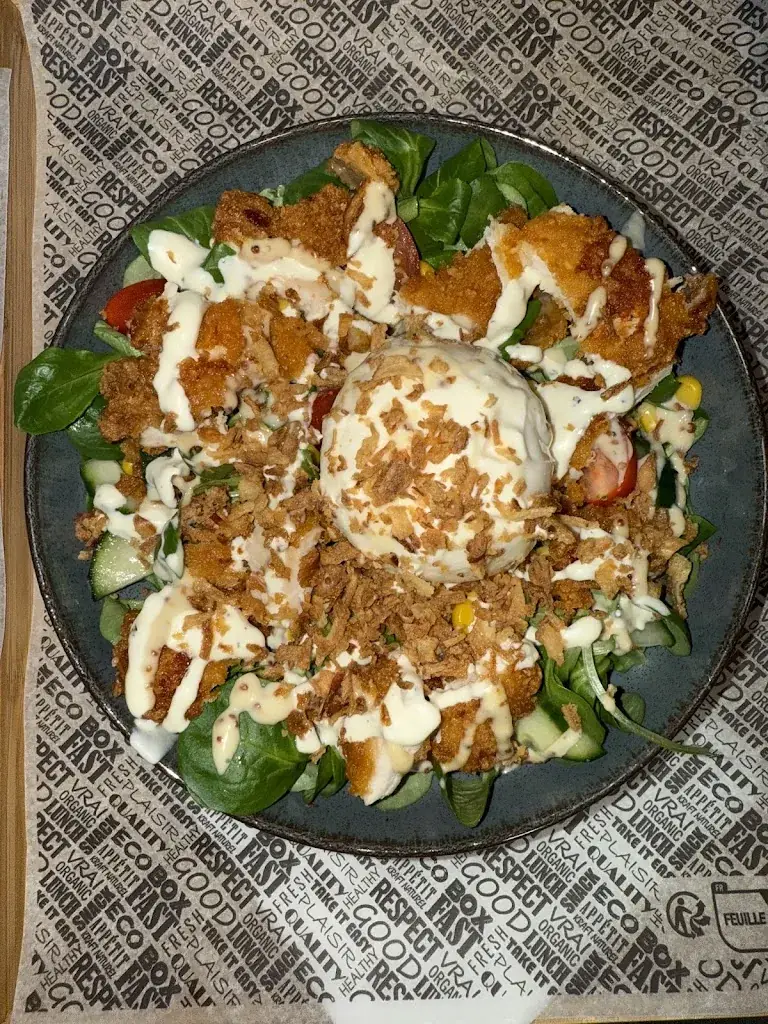 Ahsoka_O FIVE Guilers_Guilers_review