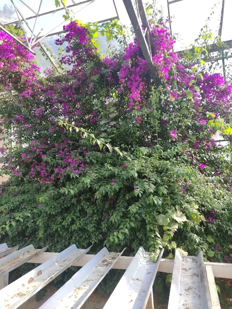 Les Serres Du Guenvez_Guilers_slider_image_3