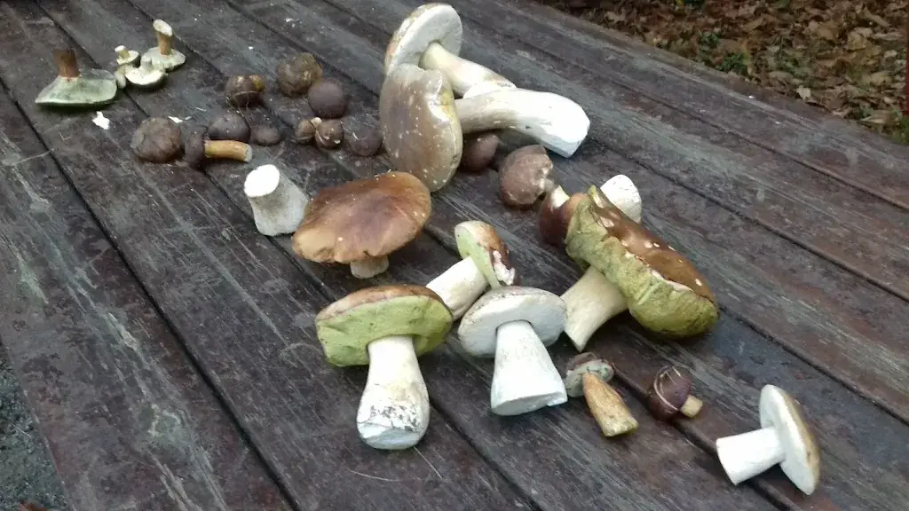 Menu_Auberge de Baron_Guipry_immagine_4