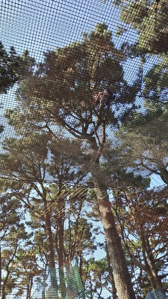 Sebastián PIZARRO_Parcabout İle de Groix_Groix_recensione