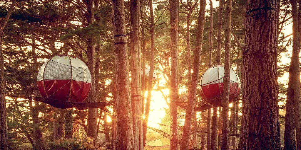 Parcabout İle de Groix restaurant in Groix