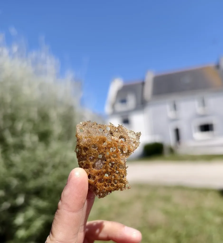 Menu_Le Bateau Ivre_Groix_immagine_5