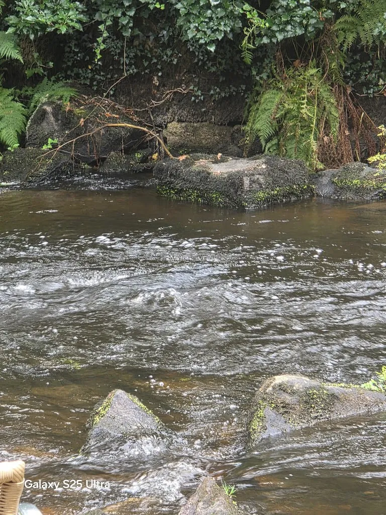 Sara Moody_Auberge de Pont Calleck_Inguiniel_review