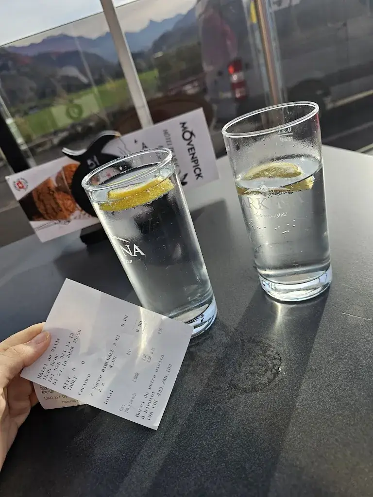 Andra - Elena Irimia_Hôtel-Restaurant de Ville_Broc_review