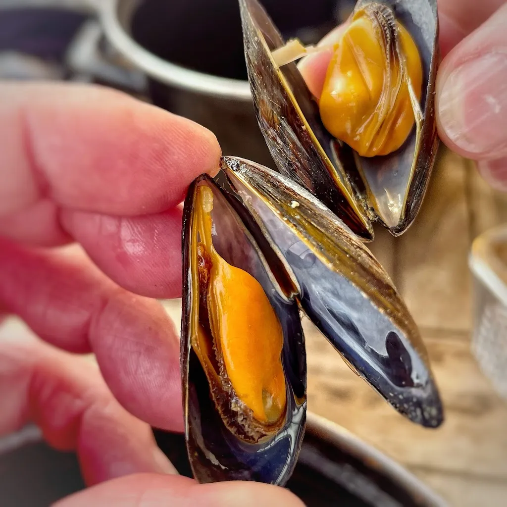 Menu_La Cabane de Mytilus_Hillion_image_6