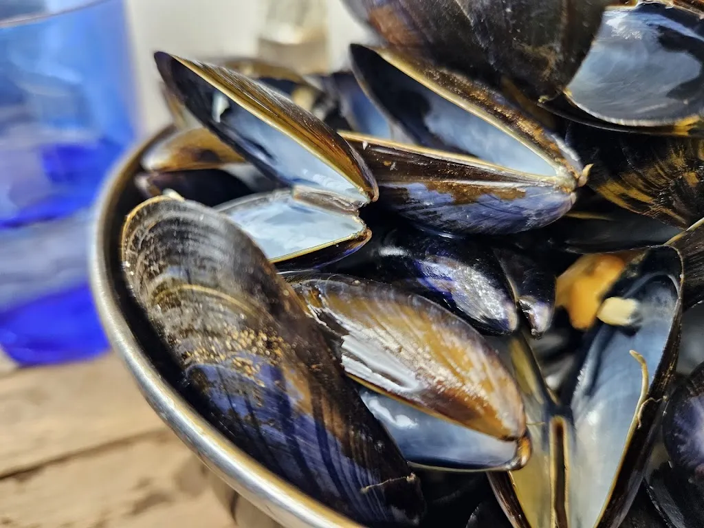 Henriette “Happyeverafter” Viebig_La Cabane de Mytilus_Hillion_review